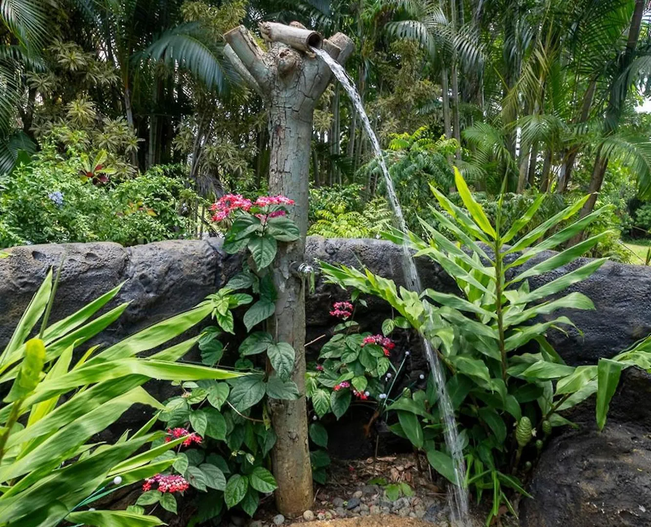 Tatil Evi Hale Aulani Villa Princeville